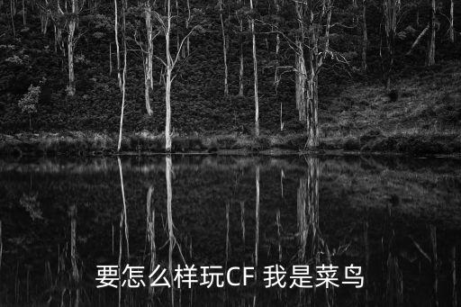 要怎么样玩CF 我是菜鸟