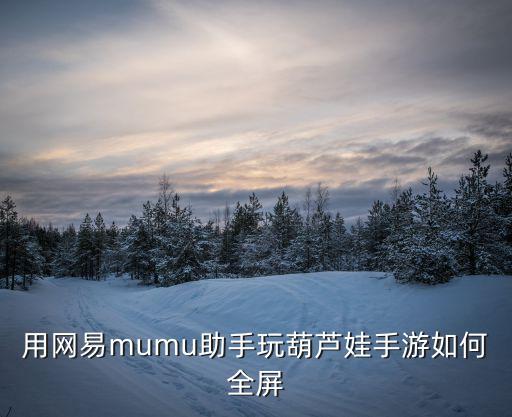 用网易mumu助手玩葫芦娃手游如何全屏