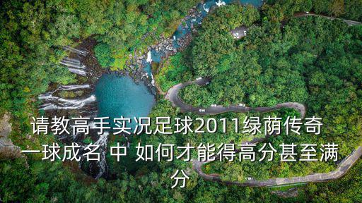 请教高手实况足球2011绿荫传奇 一球成名 中 如何才能得高分甚至满分