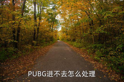 pubg怎么进不去手游，PUBG进不去怎么处理