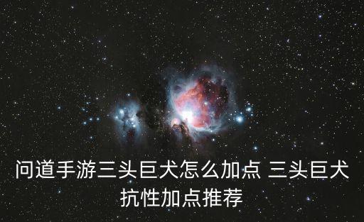 问道手游中宠物怎么加抗性点，问道手游中宠物加点有几种