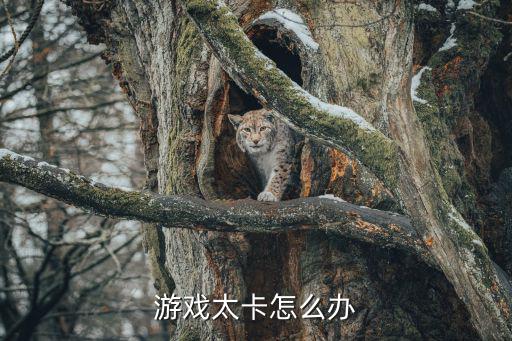 暴雪手游卡顿怎么办，暴雪客户端卡在这个界面动不了怎么办怎么解决这问题