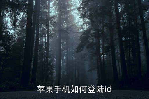 苹果手机如何登陆id