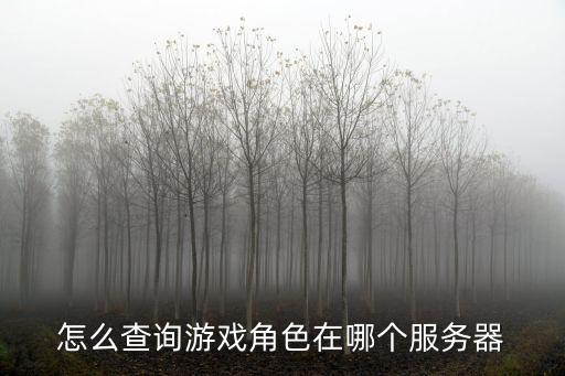 怎么查询游戏角色在哪个服务器