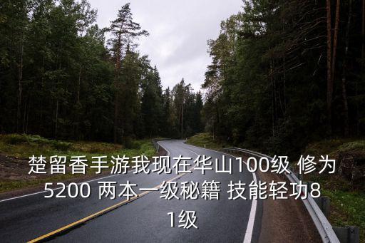 楚留香手游我现在华山100级 修为5200 两本一级秘籍 技能轻功81级