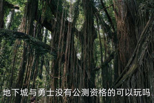 地下城与勇士没有公测资格的可以玩吗