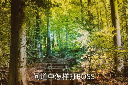 问道中怎样打BOSS