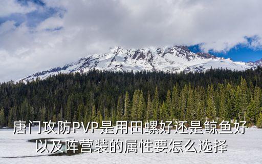 唐门攻防PVP是用田螺好还是鲸鱼好以及阵营装的属性要怎么选择