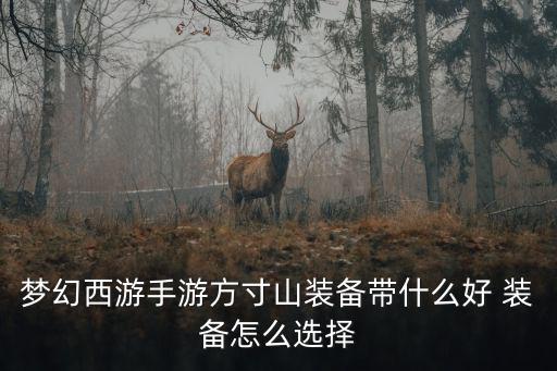 梦幻西游手游方寸山装备带什么好 装备怎么选择