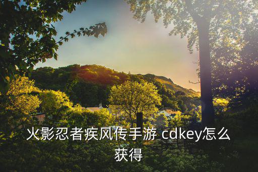 火影忍者疾风传手游 cdkey怎么获得