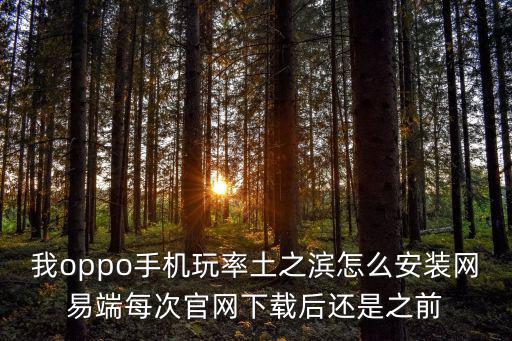 我oppo手机玩率土之滨怎么安装网易端每次官网下载后还是之前