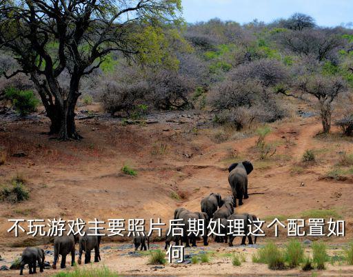 不玩游戏主要照片后期处理这个配置如何