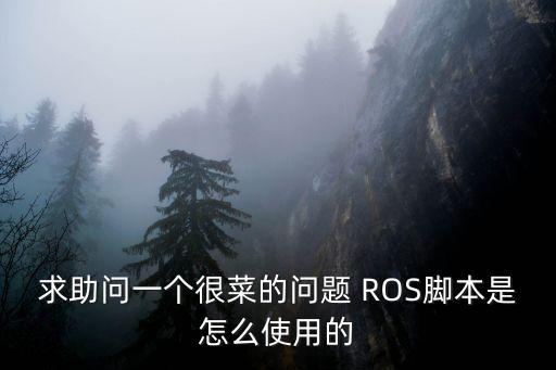 求助问一个很菜的问题 ROS脚本是怎么使用的