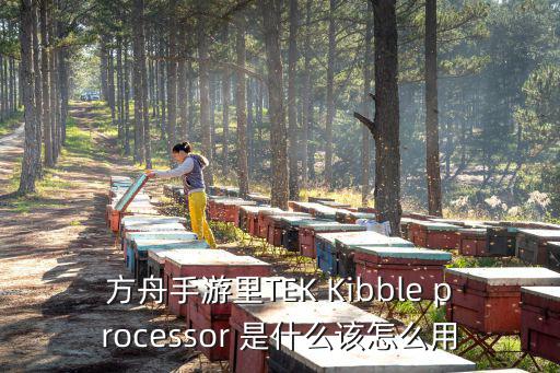 方舟手游中的泰克怎么画，方舟手游里TEK Kibble processor 是什么该怎么用