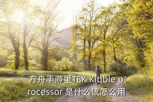 方舟手游里TEK Kibble processor 是什么该怎么用