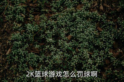 2K篮球游戏怎么罚球啊