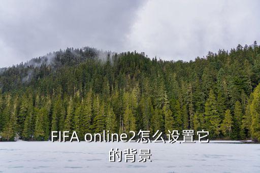 FIFA online2怎么设置它的背景