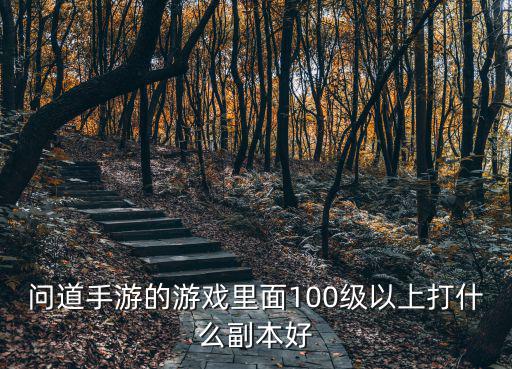 问道手游的游戏里面100级以上打什么副本好