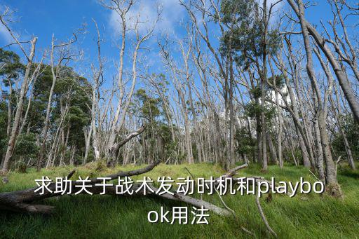 求助关于战术发动时机和playbook用法