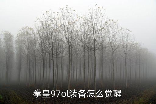 拳皇97ol装备怎么觉醒