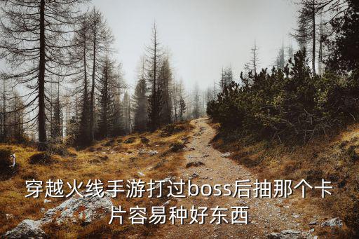 穿越火线手游打过boss后抽那个卡片容易种好东西