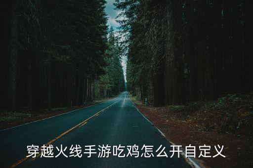 穿越火线手游吃鸡怎么开自定义