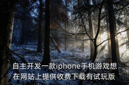 自主开发一款iphone手机游戏想在网站上提供收费下载有试玩版