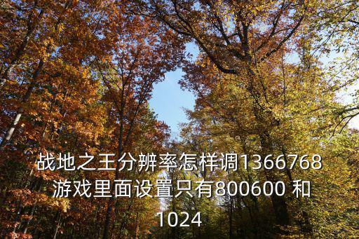 战地之王分辨率怎样调1366768 游戏里面设置只有800600 和1024