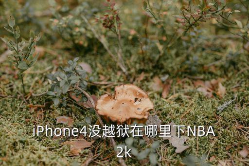 苹果怎么下载手游2k篮球，iPhone4没越狱在哪里下NBA2k