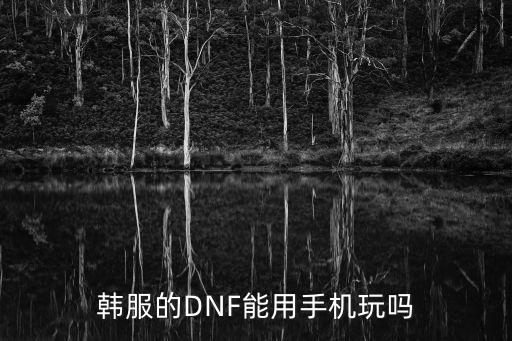 韩服的DNF能用手机玩吗