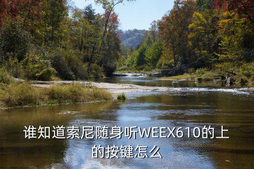 谁知道索尼随身听WEEX610的上的按键怎么