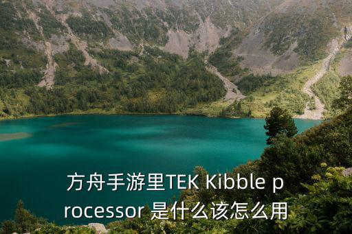 方舟手游里TEK Kibble processor 是什么该怎么用