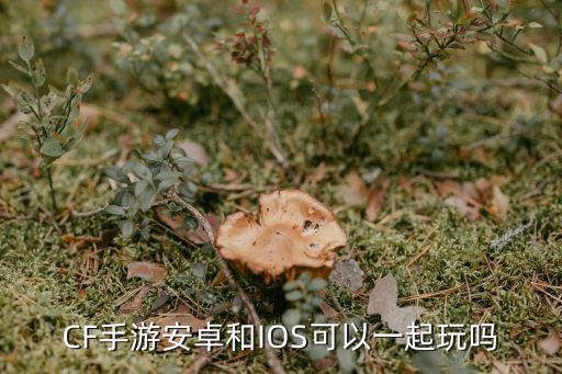 CF手游安卓和IOS可以一起玩吗