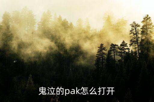 鬼泣的pak怎么打开