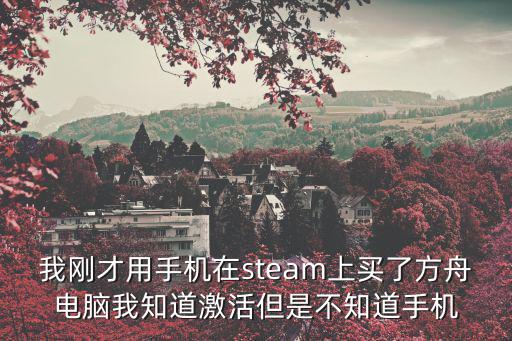 我刚才用手机在steam上买了方舟电脑我知道激活但是不知道手机