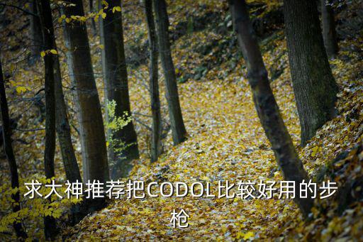 求大神推荐把CODOL比较好用的步枪