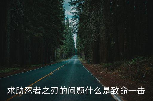 求助忍者之刃的问题什么是致命一击