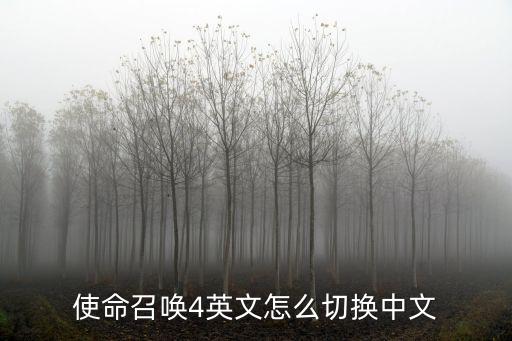 cod手游外服怎么切换中文，游民星空下的使命召唤6免安装简体中文硬盘版如何调成简体中文 游民