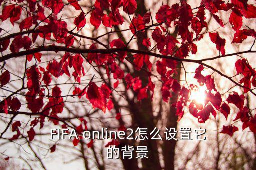 fifa手游怎么更换背景，FIFA online2怎么设置它的背景