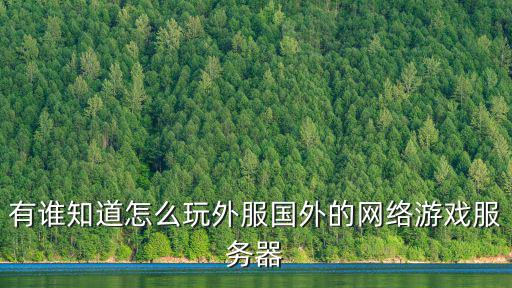 国外怎么玩原神国际服手游，有谁知道怎么玩外服国外的网络游戏服务器