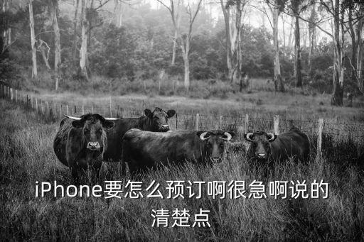 iPhone要怎么预订啊很急啊说的清楚点