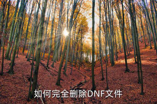 dnf手游文章怎么删除，如何完全删除DNF文件