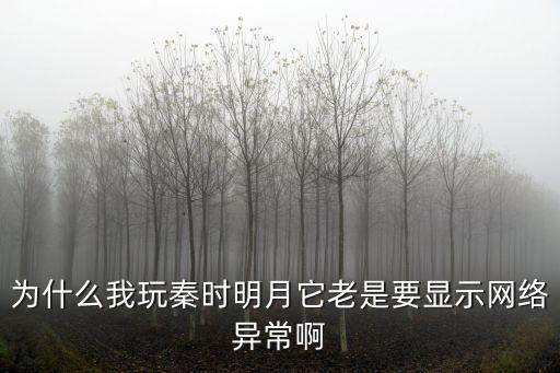 为什么我玩秦时明月它老是要显示网络异常啊