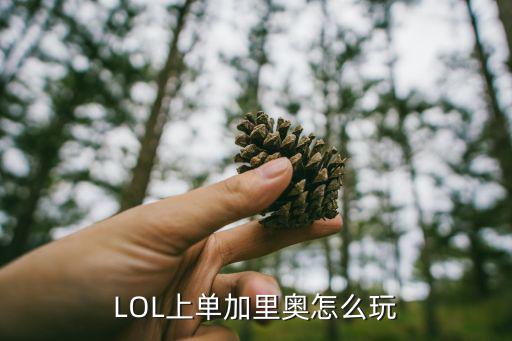 LOL上单加里奥怎么玩