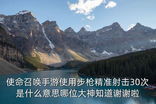 使命召唤手游使用步枪精准射击30次是什么意思哪位大神知道谢谢啦