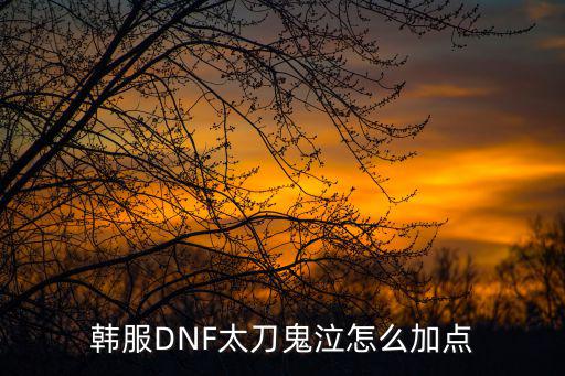 韩服DNF太刀鬼泣怎么加点