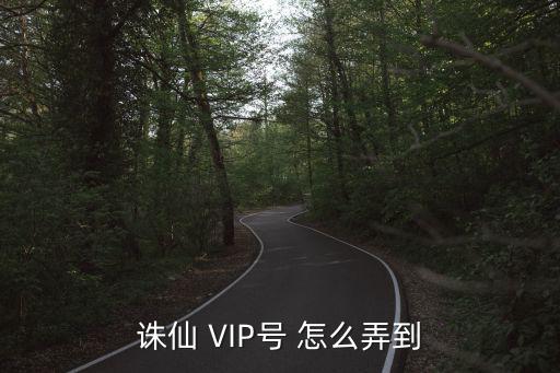 诛仙 VIP号 怎么弄到