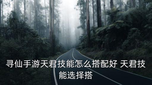 寻仙手游天君技能怎么搭配好 天君技能选择搭