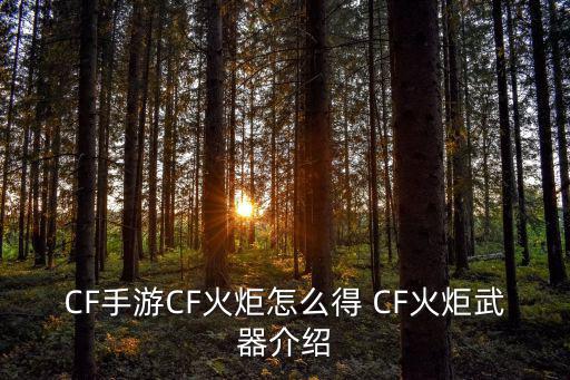 cf手游怎么快速获得装备，cf怎么刷装备