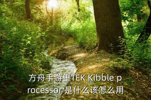 方舟手游里TEK Kibble processor 是什么该怎么用